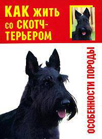 Как жить со скотч-терьером. Особенности породы