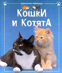 Кошки и котята