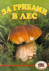 За грибами в лес