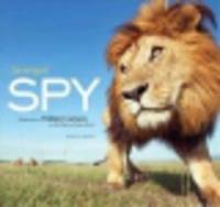 Serengeti Spy