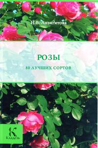 Розы: 80 лучших сортов