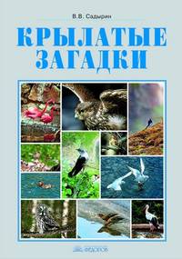 Крылатые загадки. Фотоальбом к курсу "Окружающий мир". 3-4 классы