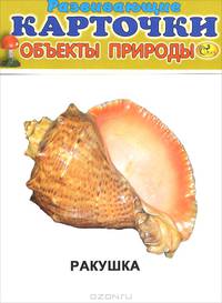 Развивающие карточки. Объекты природы. Шишка