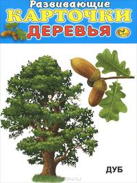 Деревья (набор из 12 карточек)