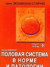 Половая система в норме и патологии