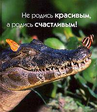 Не родись красивым, а родись счастливым /Добрая книга.
