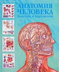 Анатомия человека. Болезни и нарушения