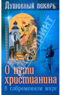 Душевный лекарь. О пути христианина в современном мире