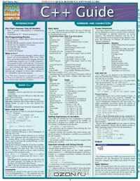 C++ Guide