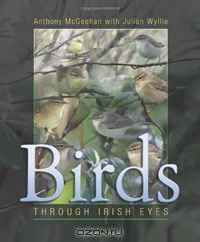 Birds: Through Irish Eyes