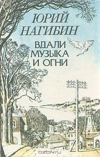 Вдали музыка и огни
