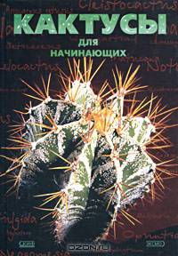 Кактусы для начинающих