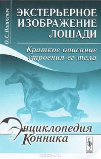 Экстерьерное изображение лошади: краткое описание строения ее тела