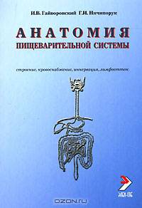 Функциональная анатомия пищеварительной системы. Строение, кровоснабжение, иннервация, лимфоотток