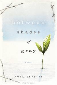 Between Shades of Gray