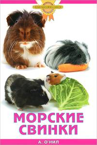 Морские свинки
