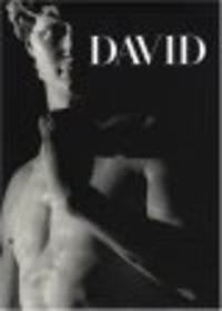 Michelangelo`s David
