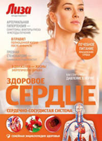 Здоровое сердце. Сердечно-сосудистая система