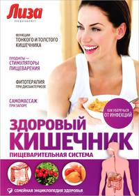 Семейная энциклопедия. Здоровый Кишечник. Пищеварительная система
