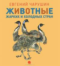 Животные жарких и холодных стран