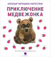Приключение медвежонка