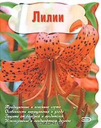 Лилии (Вырубка. Цветы в саду и на окне (обложка))