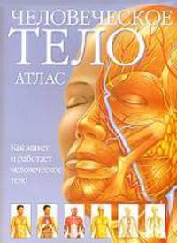 Атлас человеческого тела