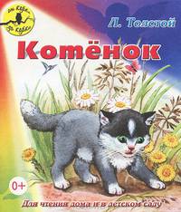 От корки до корки. Котенок