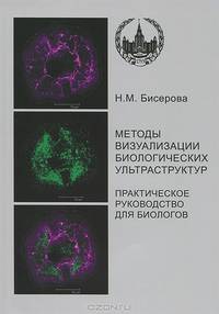 Методы визуализации биологических ультраструктур. Подготовка биологических объектов для изучения с помощью электронных и флуоресцентных конфокальных лазерных микроскопов