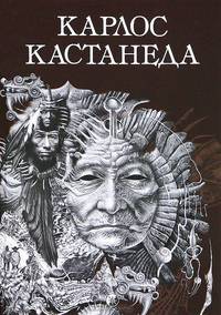 Собрание сочинений в двух томах. Том 2. Дар Орла. Огонь изнутри. Сила безмолвия. Искусство сновидения. Активная сторона бесконечности