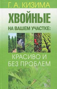 Хвойные на вашем участке: красиво и без проблем