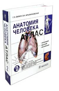 Анатомия человека. В 3-х т. Т. 2. Внутренние органы: Учебное пособие / Г.Л. Билич, В.А. Крыжановский. - ил., (Гриф)