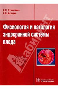 Физиология и патология эндокринной системы плода