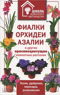 Фиалки, орхидеи, азалии и другие красивоцветущие комнатные растения