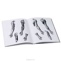The Human Figure (+ CD)