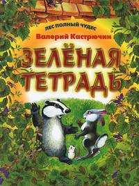 Зеленая тетрадь
