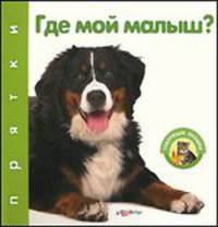 Где мой малыш? Прятки. Говорящие окошки. Сост. Сысой Н.
