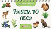 Гуляем по лесу (Собираем вместе)