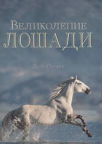 Великолепие лошади