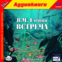 Встреча (аудиокнига MP3)