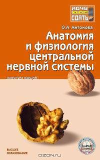 Анатомия и физиология центральной нервной системы. Конспект лекций
