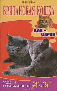 Британская кошка. Уход и содержание от "А" до "Я"