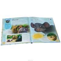 Disney Fairies: The Ultimate Guide to the Magical World