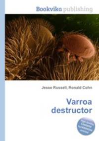 Varroa destructor