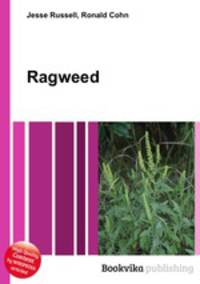 Ragweed