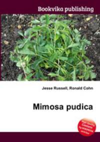 Mimosa pudica
