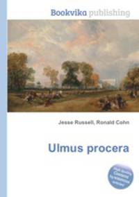 Ulmus procera