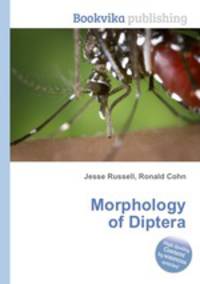 Morphology of Diptera