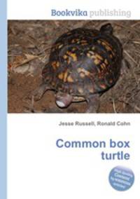 Common box turtle