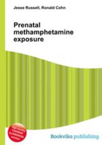 Prenatal methamphetamine exposure
